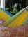 Stofhængekøje - Color of Brazil 